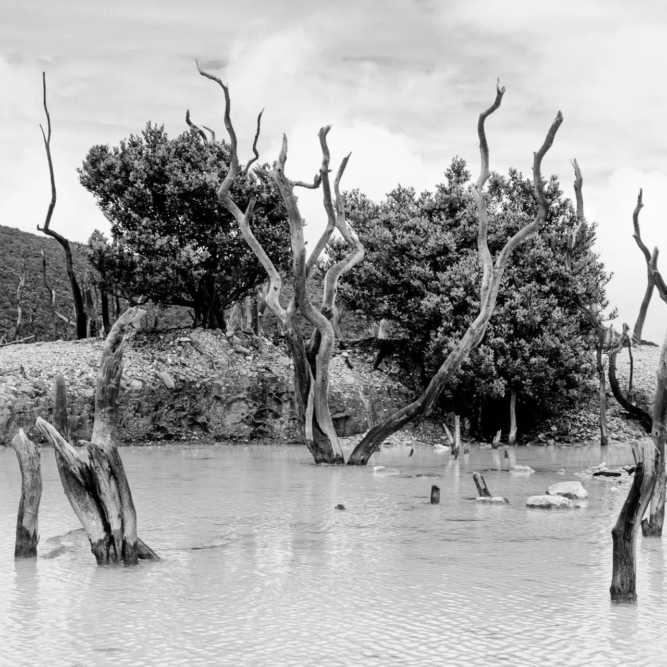 Fotografía: Dariela Romero