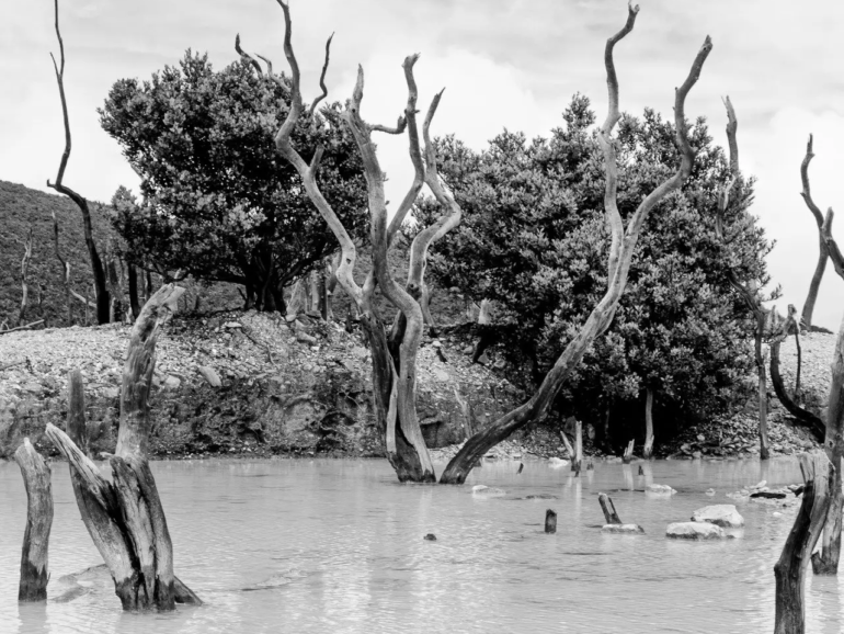 Fotografía: Dariela Romero