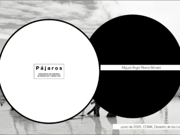 WhatsApp Image 2026-01-03 at 13.55.39